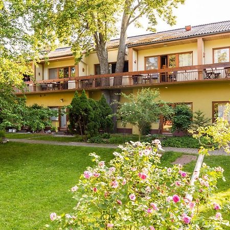 Appartementhaus Witzmann Bad Voeslau Eksteriør billede
